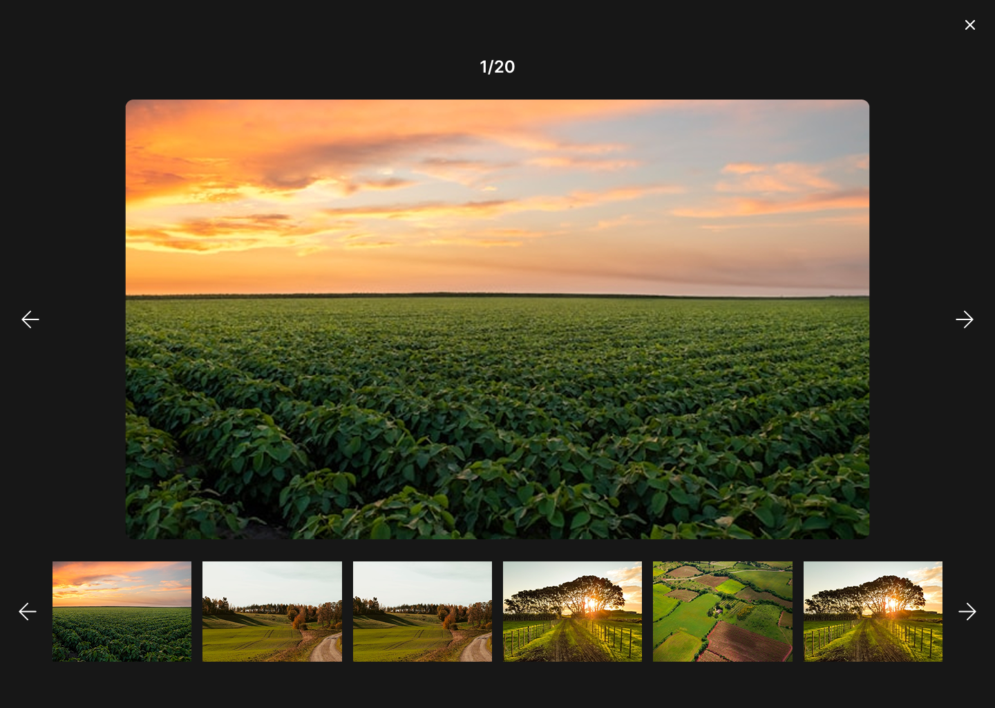 Photos gallery detail within a listing